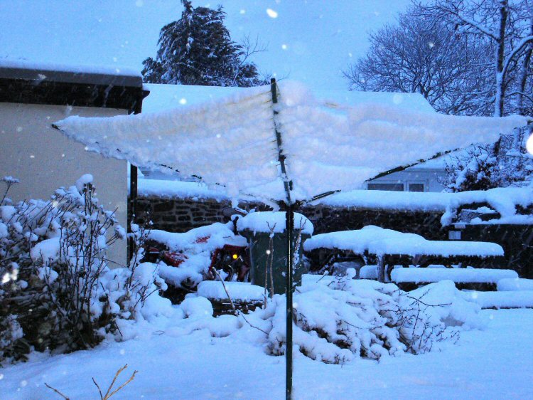 Shebbear back garden in snow